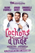 COCHON D'INDE